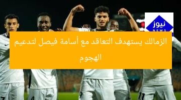 الزمالك يستهدف التعاقد مع أسامة فيصل لتدعيم الهجوم