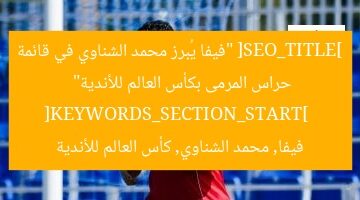 فيفا يُبرز محمد الشناوي كأحد أبرز حراس المرمى في كأس العالم للأندية