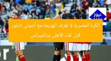 الكرة المصرية لا تعرف الهزيمة مع أنتونى تايلور قبل لقاء الأهلى وبالميراس