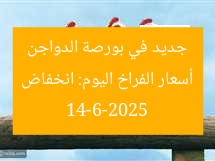 أسعار الفراخ اليوم: انخفاض جديد في بورصة الدواجن 14-6-2025