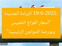 “أسعار الفراخ الخميس 19-6-2025: الزيادة الجديدة وبورصة الدواجن الرئيسية”