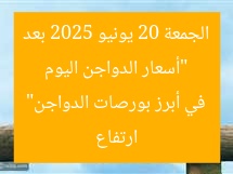 “أسعار الدواجن اليوم الجمعة 20 يونيو 2025 بعد ارتفاع في أبرز بورصات الدواجن”