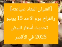 [العنوان المعاد صياغته]  
تحديث أسعار البيض والفراخ يوم الأحد 15 يونيو 2025 في الأقصر