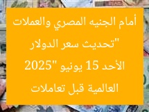 “تحديث سعر الدولار أمام الجنيه المصري والعملات العالمية قبل تعاملات الأحد 15 يونيو 2025”