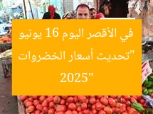 “تحديث أسعار الخضروات في الأقصر اليوم 16 يونيو 2025”