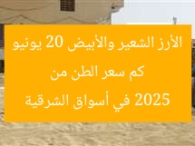 كم سعر الطن من الأرز الشعير والأبيض 20 يونيو 2025 في أسواق الشرقية