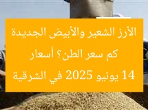 كم سعر الطن؟ أسعار الأرز الشعير والأبيض الجديدة 14 يونيو 2025 في الشرقية