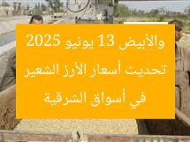 تحديث أسعار الأرز الشعير والأبيض 13 يونيو 2025 في أسواق الشرقية