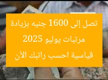 مرتبات يوليو 2025 تصل إلى 1600 جنيه بزيادة قياسية احسب راتبك الآن