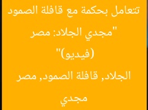 “مجدي الجلاد: مصر تتعامل بحكمة مع قافلة الصمود (فيديو)”
مجدي الجلاد, قافلة الصمود, مصر