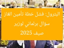 سؤال برلماني لوزير البترول: فشل خطة تأمين الغاز صيف 2025