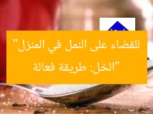 “الخل: طريقة فعالة للقضاء على النمل في المنزل”