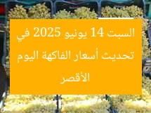 تحديث أسعار الفاكهة اليوم السبت 14 يونيو 2025 في الأقصر