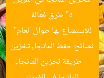 “5 طرق فعّالة لتخزين المانجا في الفريزر للاستمتاع بها طوال العام”  
طريقة تخزين المانجا, نصائح حفظ المانجا, تخزين المانجا في الفريزر