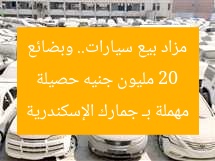 20 مليون جنيه حصيلة مزاد بيع سيارات.. وبضائع مهملة بـ جمارك الإسكندرية