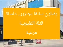 قتلة القليوبية يقتلون سائقًا بجنزير.. مأساة مرعبة