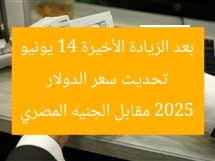 تحديث سعر الدولار بعد الزيادة الأخيرة 14 يونيو 2025 مقابل الجنيه المصري
