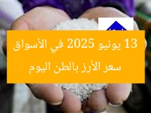 سعر الأرز بالطن اليوم 13 يونيو 2025 في الأسواق