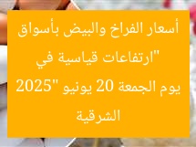 “ارتفاعات قياسية في أسعار الفراخ والبيض بأسواق الشرقية يوم الجمعة 20 يونيو 2025”