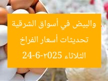 تحديثات أسعار الفراخ والبيض في أسواق الشرقية الثلاثاء 24-6-2025