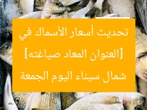 [العنوان المعاد صياغته] تحديث أسعار الأسماك في شمال سيناء اليوم الجمعة