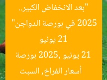“بعد الانخفاض الكبير.. أسعار الفراخ اليوم السبت 21 يونيو 2025 في بورصة الدواجن”  
أسعار الفراخ, السبت 21 يونيو 2025, بورصة الدواجن