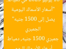 “أسعار الأسماك اليومية 18 يونيو 2025 في دمياط: الجمبري يصل إلى 1500 جنيه”  
أسعار الأسماك اليوم, جمبري 1500 جنيه, دمياط