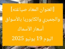 [العنوان المعاد صياغته]  
أسعار الأسماك والجمبري والكابوريا بالأسواق اليوم 19 يونيو 2025