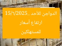 ارتفاع أسعار الدواجن للأحد 15/6/2025.. للمستهلكين