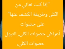 “إذا كنت تعاني من التبوّل المتكرر؟ 5 أعراض تدل على حصوات الكلى وطريقة الكشف عنها”
حصوات الكلى, أعراض حصوات الكلى, التبوّل المتكرر