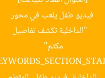 [العنوان المعاد صياغته]  
“الداخلية تكشف تفاصيل فيديو طفل يلعب في محور مكتم”  

[KEYWORDS_SECTION_START]  
الداخلية, فيديو طفل, المقطم