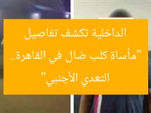 “مأساة كلب ضال في القاهرة.. الداخلية تكشف تفاصيل التعدي الأجنبي”