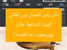 «المينا الشائعة» طائر نادر يثير الجدل بين أهالى بورسعيد.. ما القصة؟