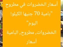 “بامية 70 جنيها الكيلو! أسعار الخضروات في مطروح اليوم”  
أسعار الخضروات, مطروح, البامية