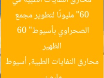 “60 مليونًا لتطوير مجمع محارق النفايات الطبية في الظهير الصحراوي بأسيوط”  
60 مليون, محارق النفايات الطبية, أسيوط