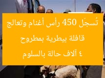 قافلة بيطرية بمطروح تُسجّل 450 رأس أغنام وتعالج 4 آلاف حالة بالسلوم