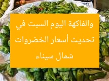تحديث أسعار الخضروات والفاكهة اليوم السبت في شمال سيناء