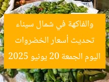 تحديث أسعار الخضروات والفاكهة في شمال سيناء اليوم الجمعة 20 يونيو 2025