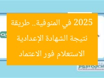 نتيجة الشهادة الإعدادية 2025 في المنوفية.. طريقة الاستعلام فور الاعتماد
