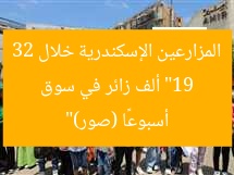 “19 ألف زائر في سوق المزارعين الإسكندرية خلال 32 أسبوعًا (صور)”