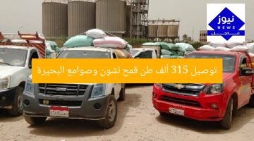 توصيل 315 ألف طن قمح لشون وصوامع البحيرة