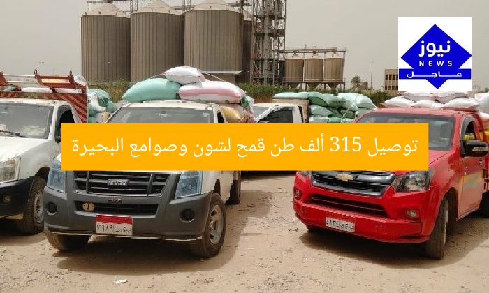 توصيل 315 ألف طن قمح لشون وصوامع البحيرة