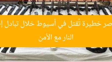 4 عناصر خطيرة تُقتل في أسيوط خلال تبادل إطلاق النار مع الأمن