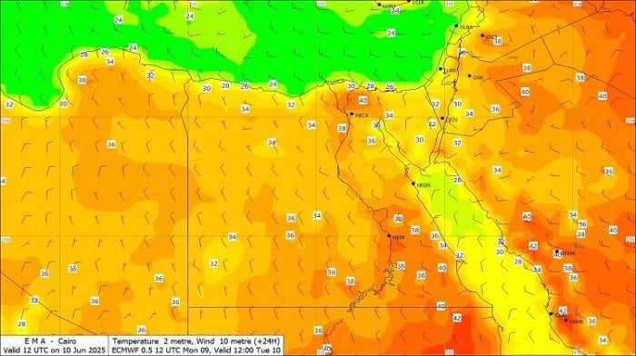 أجواء شديدة الحرارة.. تفاصيل حالة الطقس في مصر اليوم الثلاثاء 10 يونيو 2025