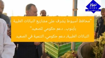 “محافظ أسيوط يُشرف على مشاريع النباتات الطبية بأبنوب.. دعم حكومي للصعيد”  
النباتات الطبية, دعم حكومي, التنمية في الصعيد