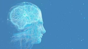 أكتر تطبيق ذكاء اصطناعي بيجمع معلومات عنك.. Gemini على رأس القائمة