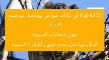 اكتشاف 4300 كوالا في غابات نيوكاسل عبر الطائرات المسيرة  
كوالا, نيوكاسل, الطائرات المسيرة