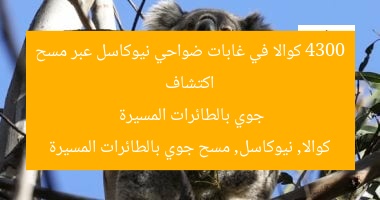 اكتشاف 4300 كوالا في غابات نيوكاسل عبر الطائرات المسيرة
كوالا, نيوكاسل, الطائرات المسيرة