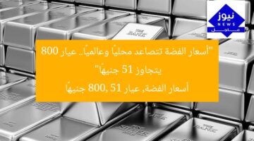 “أسعار الفضة تتصاعد محليًا وعالميًا.. عيار 800 يتجاوز 51 جنيهًا”  
أسعار الفضة, عيار 800, 51 جنيهًا