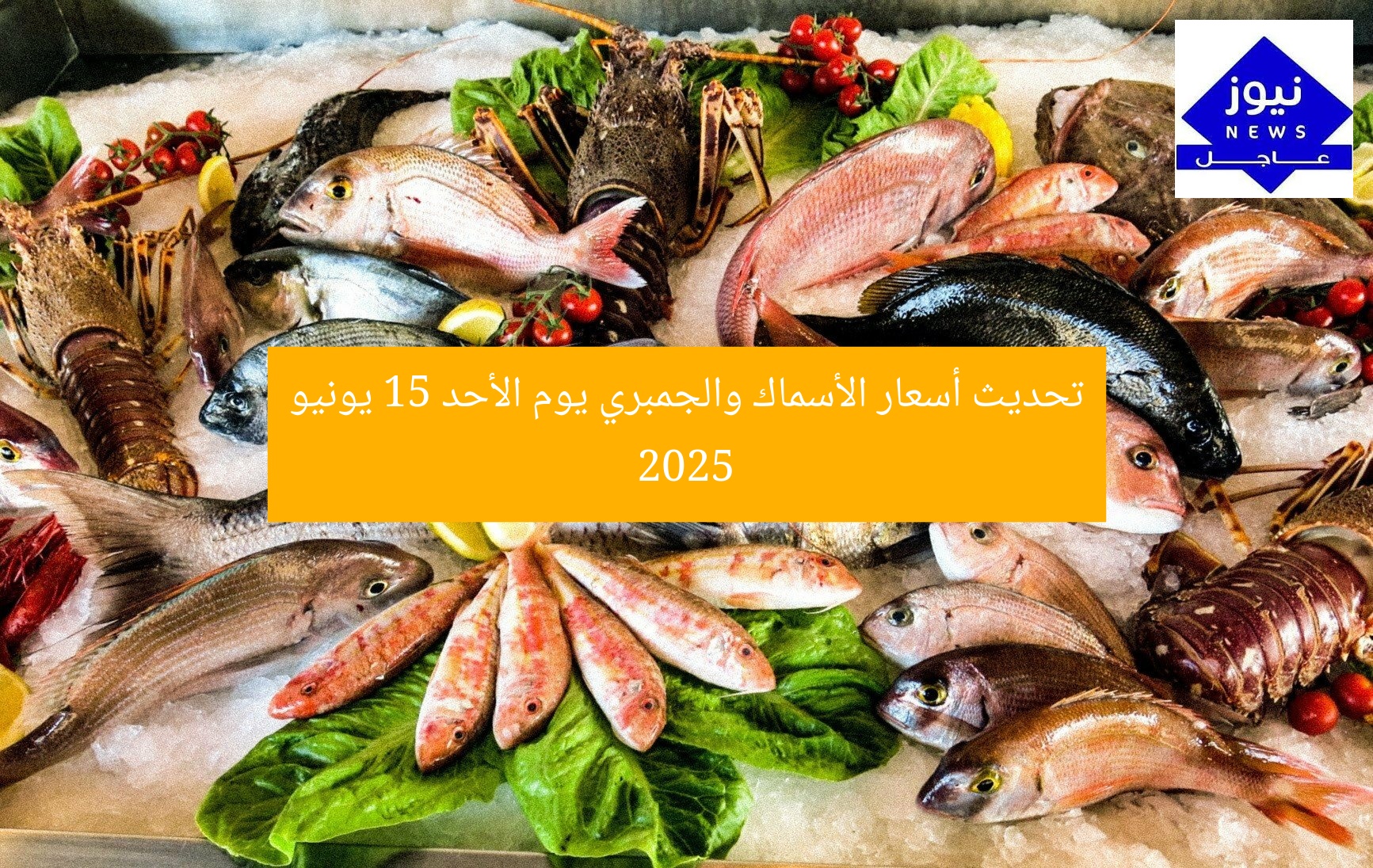 تحديث أسعار الأسماك والجمبري يوم الأحد 15 يونيو 2025
